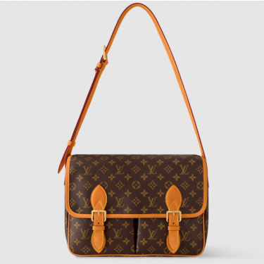 루이비통 M14723 사첼 메신저백 남성용  (황벽공장)